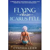 Flying Where Icarus Fell