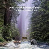 Redwood National Park Animals and Attractions Kids Book: Great Way for Children to See Redwood National and State Parks