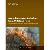 Greenhouse Gas Emissions from Wildland Fires: Toward Improved Monitoring, Modeling, and Management: Proceedings of a Workshop
