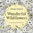 Wonderful Wildflowers: A Coloring Book and Floral Quest