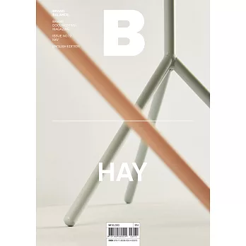 Magazine B 第72期 HAY