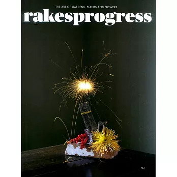 rakes progress Vol.12