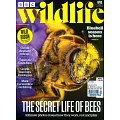 BBC Wildlife 4月號/2022