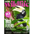BBC Wildlife 3月號/2024