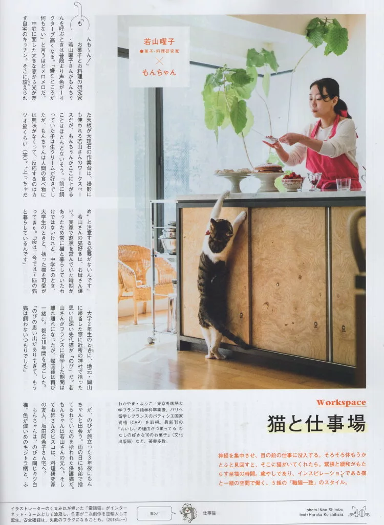 博客來 Brutus 4月15日 21 博客來 Brutus 4月15日 21