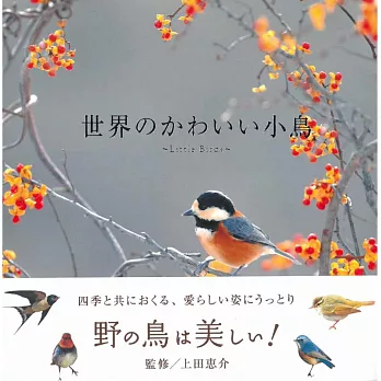 世界可愛小鳥鑑賞寫真手冊