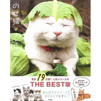 日本籃子貓可愛逗趣造型精選寫真集：附明信片