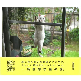 安彥幸枝攝影寫真集：庭貓