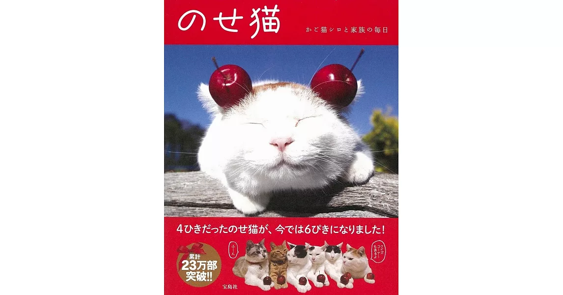 日本籃子貓家族超可愛逗趣寫真完全手冊 | 拾書所