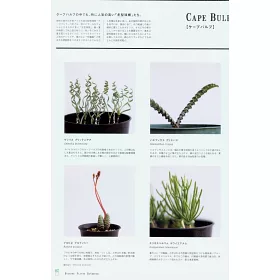 博客來 Brutus珍奇植物圖鑑完全專集 博客來 Brutus珍奇植物圖鑑完全專集