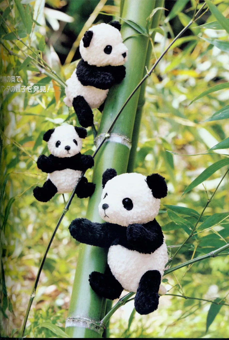 可愛的熊貓家族