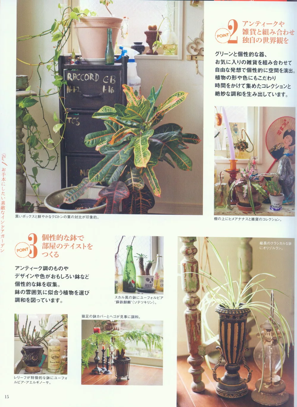 博客來 綠意觀葉植物裝飾生活空間佈置實例集 博客來 綠意觀葉植物裝飾生活空間佈置實例集