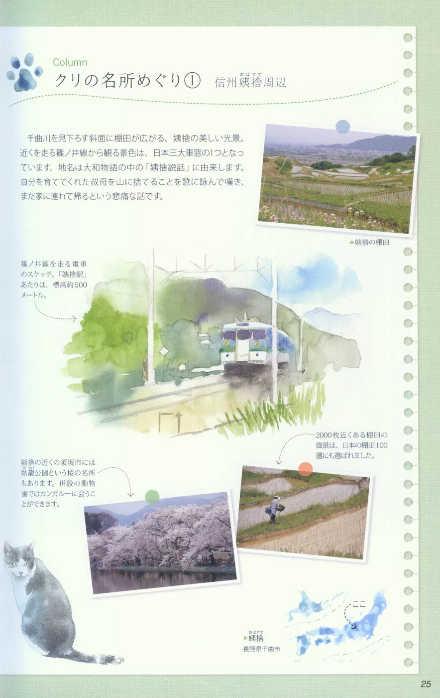 博客來 青木美和水彩繪畫教學實例講座 貓咪風景畫 博客來 青木美和水彩繪畫教學實例講座 貓咪風景畫