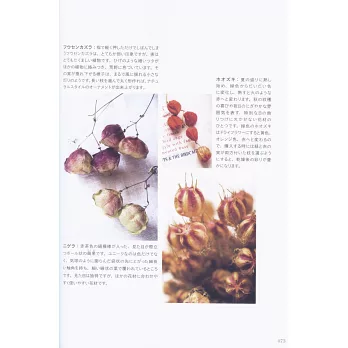 綺麗乾燥花製作美麗花束裝飾壁面作品實例集 拾書所