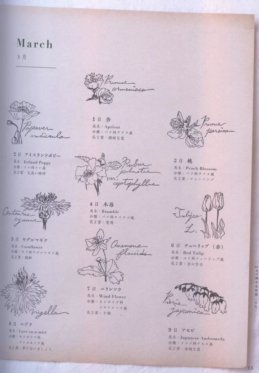 博客來 橡皮印章製作美麗botanical植物圖案集 博客來 橡皮印章製作美麗botanical植物圖案集