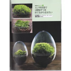 博客來 苔蘚盆栽趣味種植裝飾完全讀本 博客來 苔蘚盆栽趣味種植裝飾完全讀本
