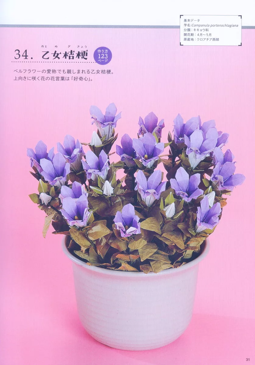 博客來 美麗花卉造型摺紙手藝作品集 博客來 美麗花卉造型摺紙手藝作品集