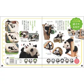 博客來 パンダでおぼえる四字熟語 博客來 パンダでおぼえる四字熟語