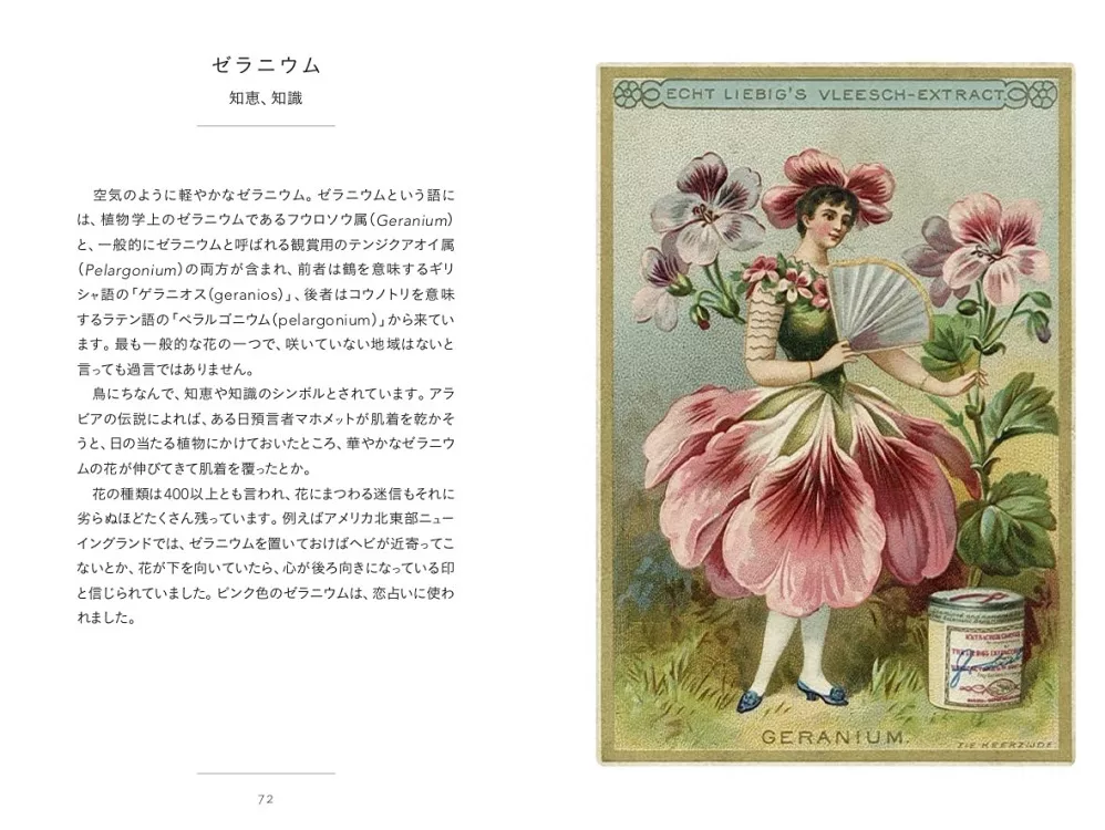 博客來 小巧精裝插畫圖鑑手冊 花言葉 博客來 小巧精裝插畫圖鑑手冊 花言葉