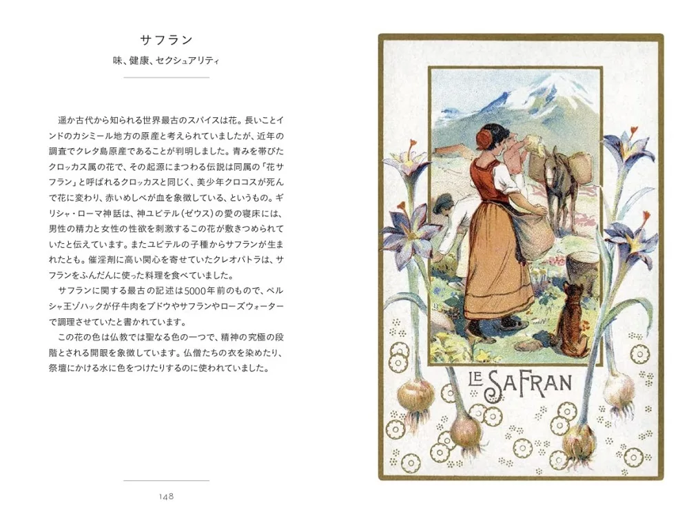 博客來 小巧精裝插畫圖鑑手冊 花言葉 博客來 小巧精裝插畫圖鑑手冊 花言葉