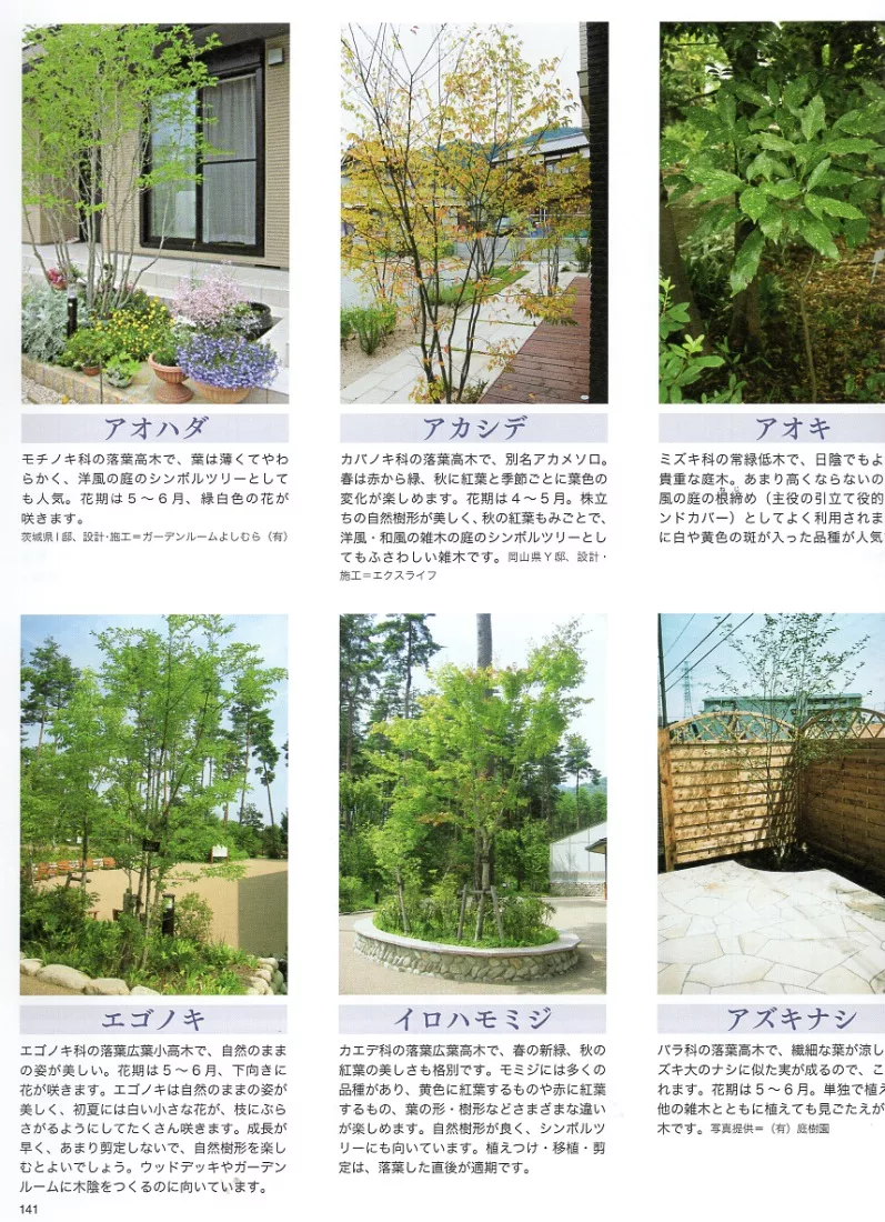 博客來 自然風格庭園 綠意庭園佈置實例集 博客來 自然風格庭園 綠意庭園佈置實例集