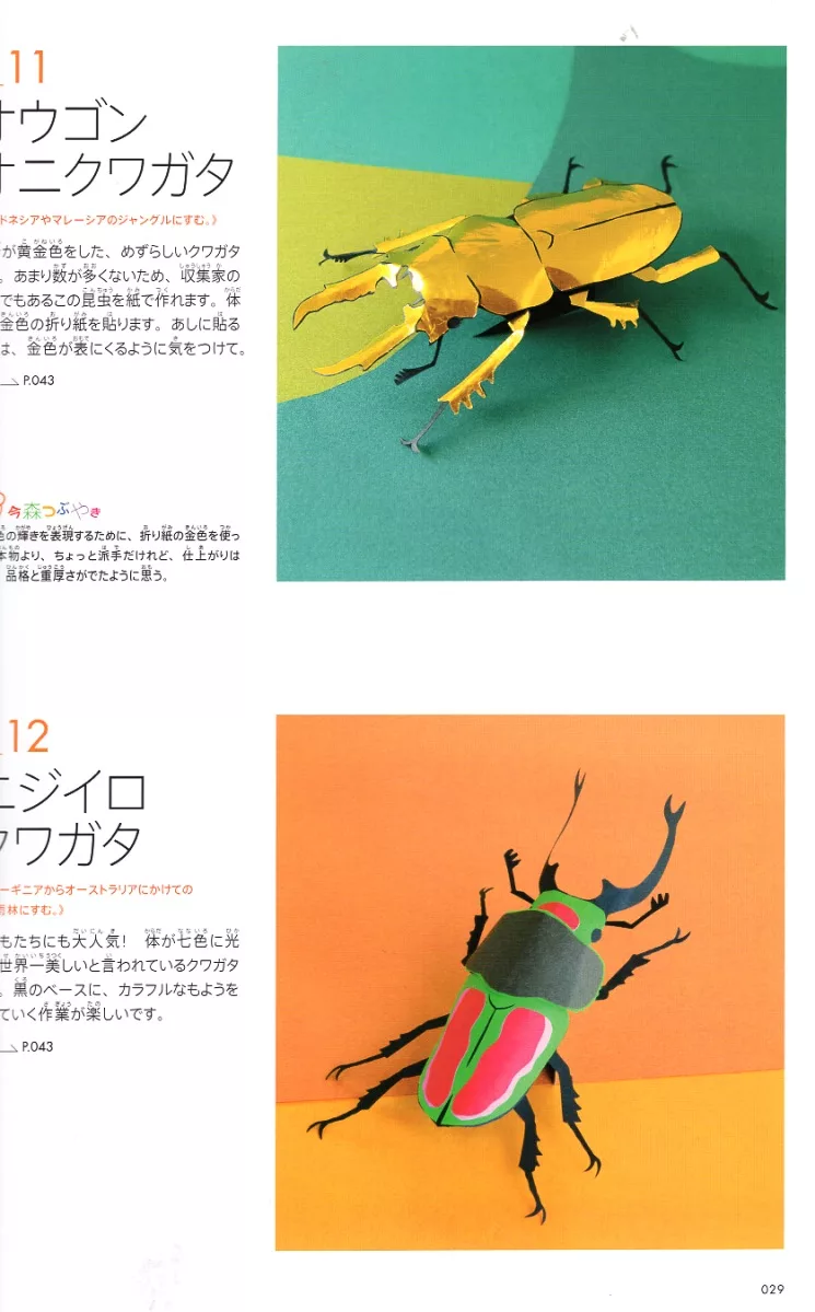 彩虹鍬形蟲