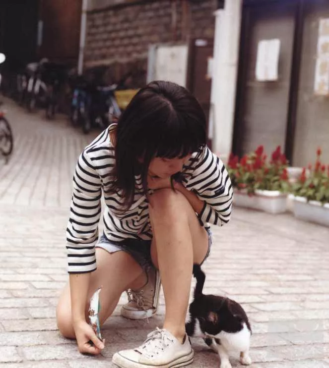 大島優子與貓咪