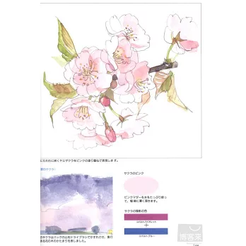 水彩 色鉛筆描繪美麗花朵技法解析 拾書所 水彩 色鉛筆描繪美麗花朵技法解析 拾書所