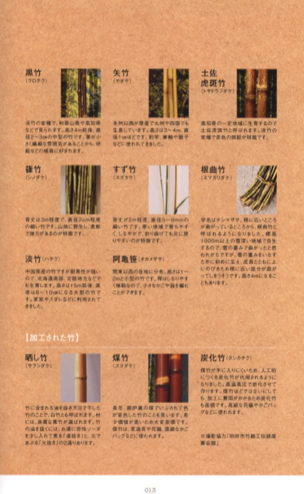 第1章 竹子與竹籃的基本知識