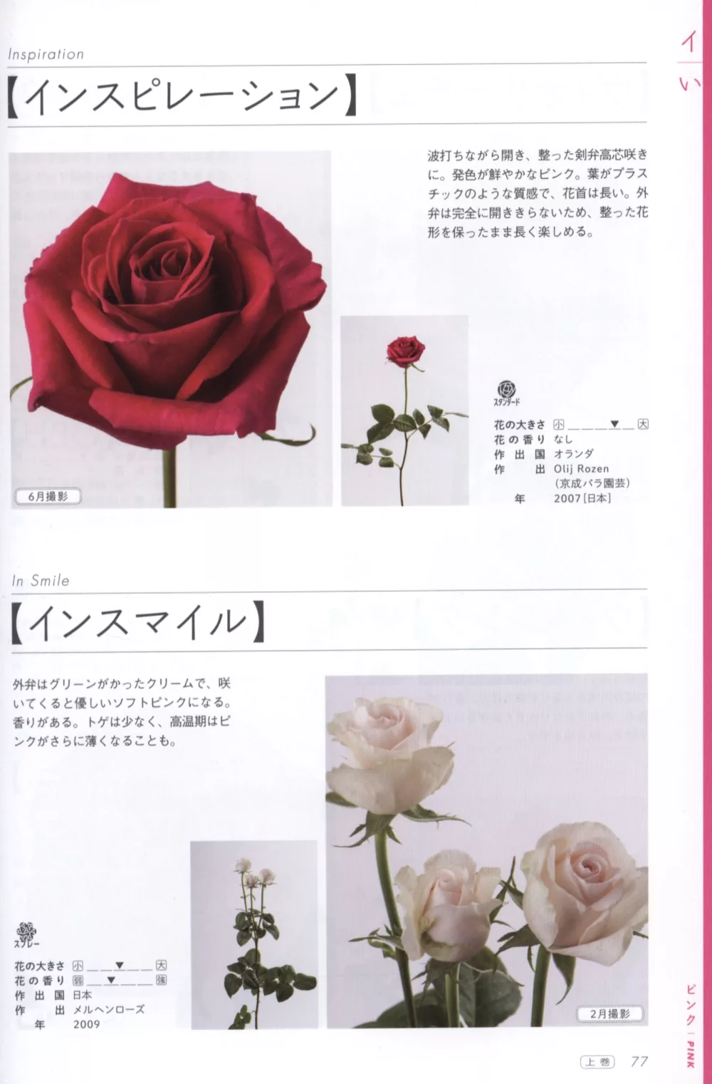 博客來 玫瑰薔薇圖鑑1000 上卷 526品種 博客來 玫瑰薔薇圖鑑1000 上卷 526品種