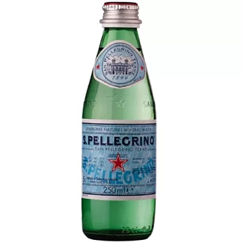 《S.Pellegrino》聖沛黎洛天然氣泡礦泉水(250mlx24瓶)