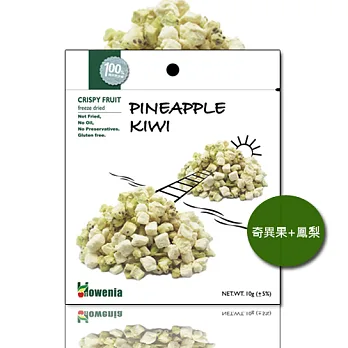 CrispyFruit –冷凍乾燥水果(奇異果鳳梨、10g)(袋裝)