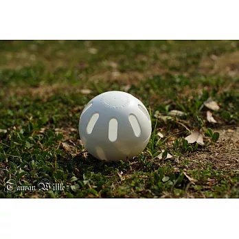 美國原裝正版 威浮球 Wiffle Ball 新球 人人都可輕鬆投變化球