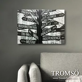TROMSO時尚無框畫/繁忙指標