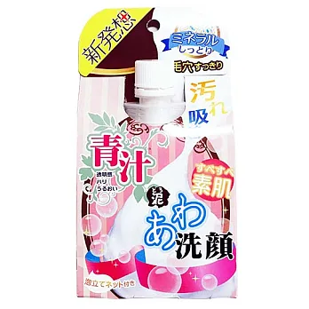 MameLabo青汁泡沫洗顏泥110g