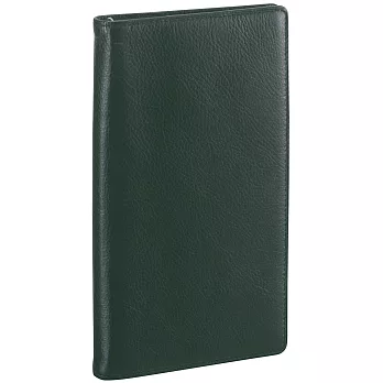 RAYMAY 標準系列聖書修長萬用手冊綠色