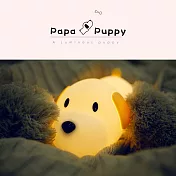 papa puppy 呆呆汪 小狗伴睡燈 夜燈 造型燈 觸控燈 USB充電