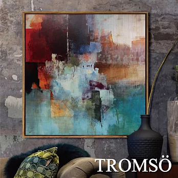 TROMSO北歐風尚板畫有框畫-光彩奪目60X60CM