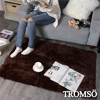 TROMSO北歐風尚長毛地毯-品味深咖
