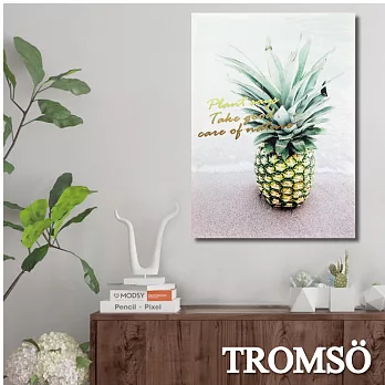 TROMSO時尚無框畫-北歐菠蘿-W272