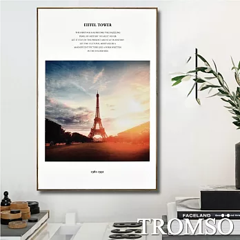 TROMSO北歐生活版畫有框畫-風華巴黎WA71