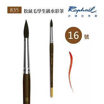 法國拉斐爾 Raphael 835 松鼠毛 學生級 水彩筆 16號