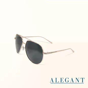 【ALEGANT】經典純黑飛官款寶麗來偏光墨鏡/UV400太陽眼鏡