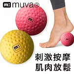 【muva】舒筋雙享球~按摩肌肉放鬆!