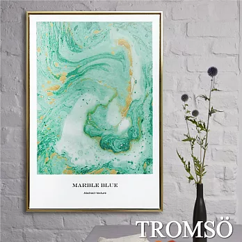 TROMSO北歐時代風尚有框畫-碧綠湖潮WA143