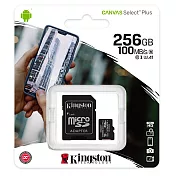 Kingston 金士頓 256G 100MB/s U3 microSDXC UHS-I A1 V30 記憶卡 SDCS2/256GB