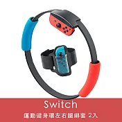 Nintendo任天堂 Switch 運動健身環左右腿綁套 2入