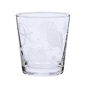 【K-ai】海洋貝殼透明玻璃杯 240cc