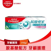【Colgate 高露潔】抗 敏專家 - 牙齦護理牙膏110g (抗 敏/敏感牙齒 )