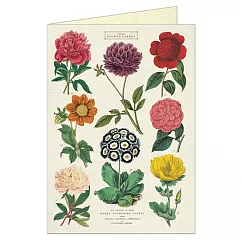 美國 Cavallini & Co. Greeting Cards 卡片/生日卡/萬用卡 植物學花卉